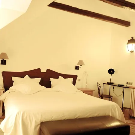 De France Hotel Mende