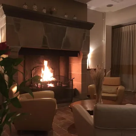 De France Hotel Mende